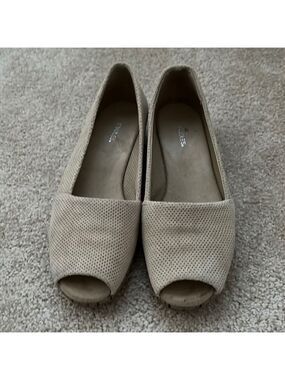 Aerosols peep toe wedge